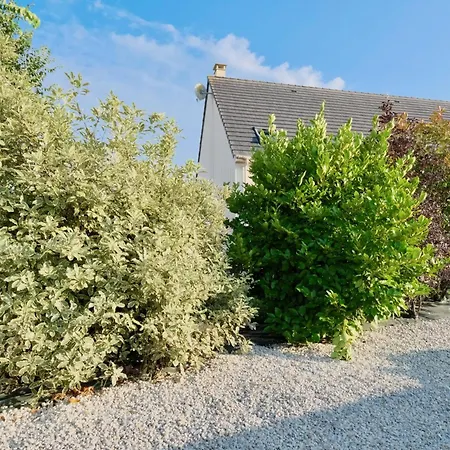 L'oyat * Barneville-Carteret