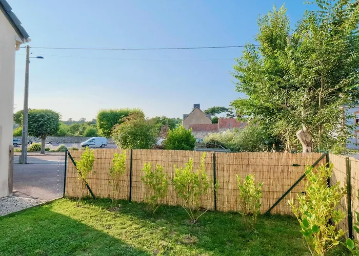 L'oyat Barneville-Carteret