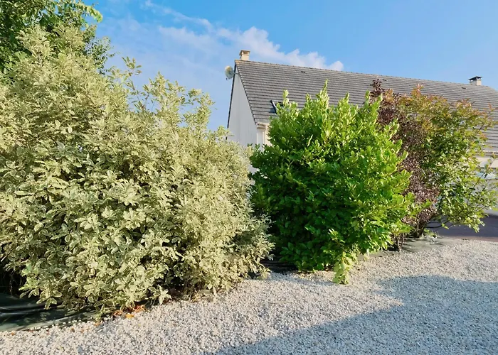 L'oyat * Barneville-Carteret